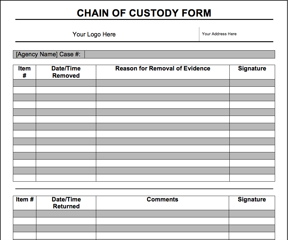form custody chain digital forensic